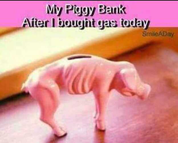 pigg bank gas