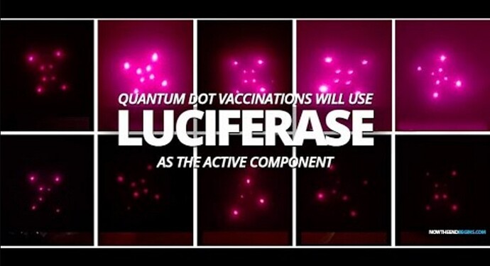 quantum dot vaccines - luciferase