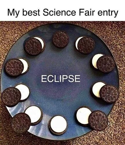 Science fair entry