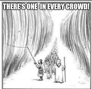 one in every crowd