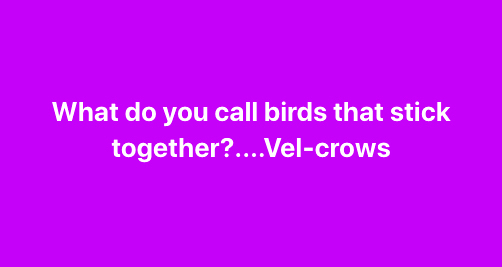 birds vel crows