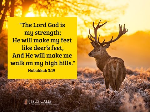 Habakkuk 19