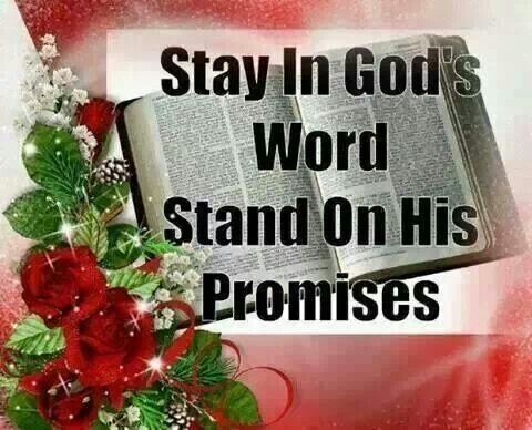 stay promises